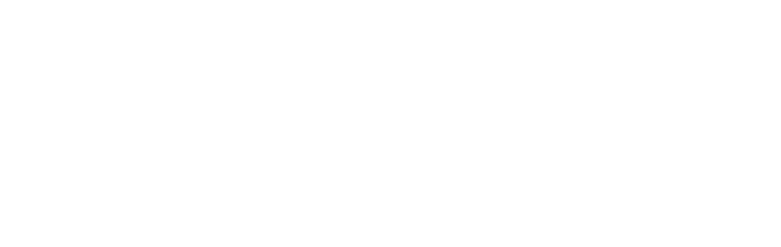 Praxes Consulting